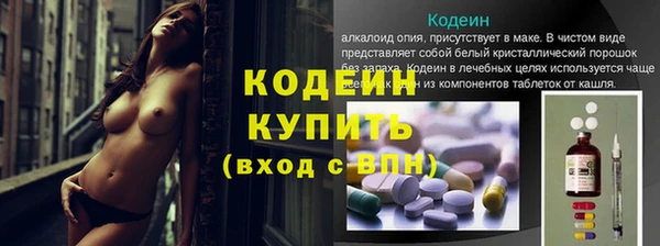 соль ск Дмитров