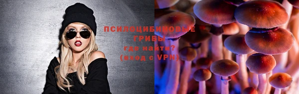 стафф Гусев