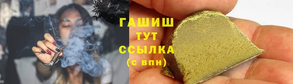 стафф Гусев