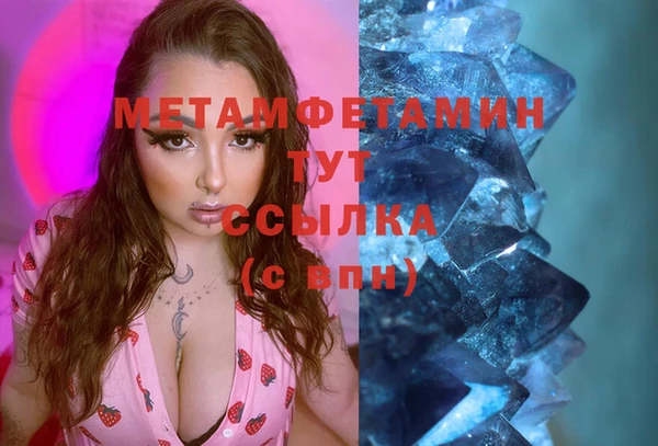 стафф Гусев