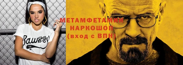 стафф Гусев