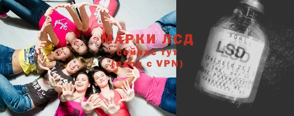 стафф Гусев