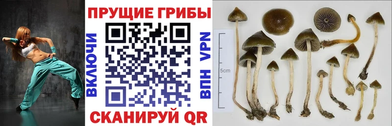 ОМГ ОМГ как войти  наркота  мориарти телеграм  Галлюциногенные грибы мухоморы  Нязепетровск 