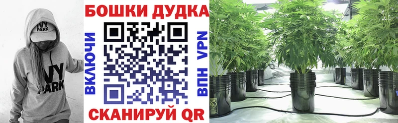 где купить наркоту  Нязепетровск  Бошки марихуана сатива 